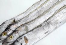 买带鱼记得分清“黑眼睛”和“黄眼睛”区别不小搞懂再花钱