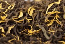 保靖黄金茶属于什么茶