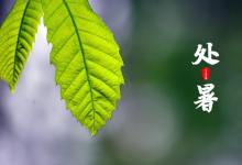 处暑就是末伏吗