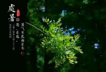 2023处暑是末伏的最后一天吗