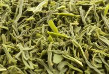 绿茶属于什么茶