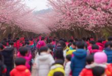 春节适合带孩子去哪里旅游