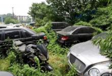 杭州又现“汽车坟场”街办如何回应的呢