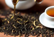 普洱茶属于什么茶种