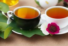 四季春茶属于什么茶