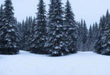 梦见下大雪是什么意思