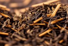 武夷肉桂茶属于什么茶