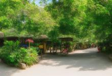适合老人和孩子旅游的地方