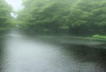 梦见下好大的雨是什么征兆