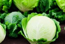 梦见卖白菜是什么意思
