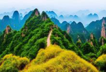 黄山毛峰什么牌子好