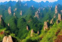 黄山毛峰那个牌子好