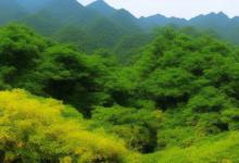 天珠是什么材质