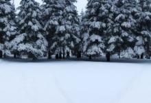 下雪发朋友圈短句