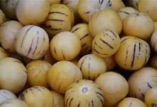 人参果的功效有什么糖尿病人可以吃人参果吗