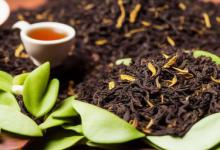 凤凰单枞属于什么茶