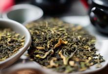 崂山茶叶属于什么茶