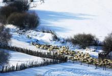 2023立冬冷点好还是热点好