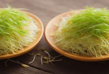 梦见豆芽是什么意思