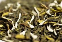 安吉白茶是属于什么茶类