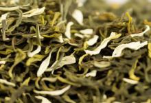 安吉白茶属于什么茶类