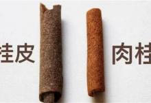 肉桂和桂皮一字之差，用途却截然相反，深度解读肉桂和桂皮的区别