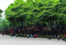 成都办理居住证需要什么材料