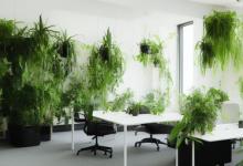 办公室什么绿植风水好