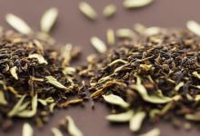 梦见摘茶籽是什么意思
