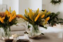 假花放在家里有什么忌讳