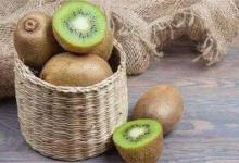 猕猴桃能放冰箱冷藏保存吗？猕猴桃怎么保存？猕猴桃正确保存方式