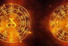11月是什么星座