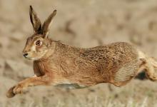 菜市场禁忌！你一定要知道的几件事