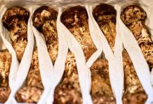 松茸好吃，但保鲜比较困难，想要一年都有新鲜松茸吃，就这样存放