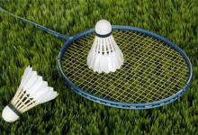 ​羽毛球用什么羽毛做的羽毛球用的是真羽毛吗