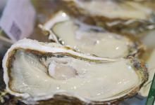 生蚝怎么清洗才干净生蚝怎么清理最干净