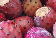 教你如何正确吃仙人掌果，咬一口满嘴血红，满满的花青素