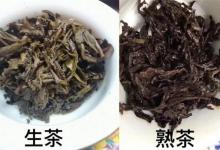 普洱生茶和熟茶有何区别？普洱生茶和熟茶的冲泡方法