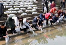 ​广东多人往海里放生60多箱矿泉水有哪些问题