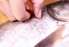 刮鱼鳞的小妙招不脏手不飞溅方便实用