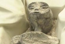 墨西哥国会揭晓非人类化石有哪些意义