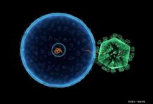 内核隔离有必要开吗？看完你就明白了