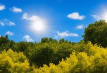 8月1是什么节日