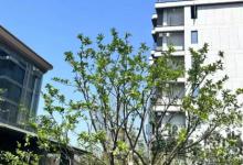 9月25号房贷降息是真的吗2023