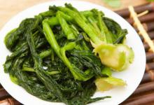 雪菜是什么菜 雪菜简介