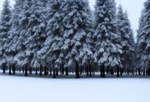 梦见下雪了是什么征兆