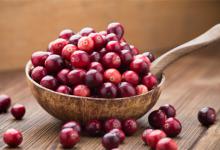 蔓越莓的营养价值蔓越莓长什么样