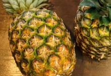 菠萝是由很多个果实组成的吗菠萝有什么好处