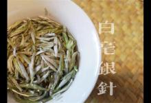 白毫银针是什么茶？众多白茶中，为什么爱茶人偏爱白毫银针？