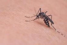 为什么有些人容易被蚊子叮咬什么人不容易被蚊子叮咬